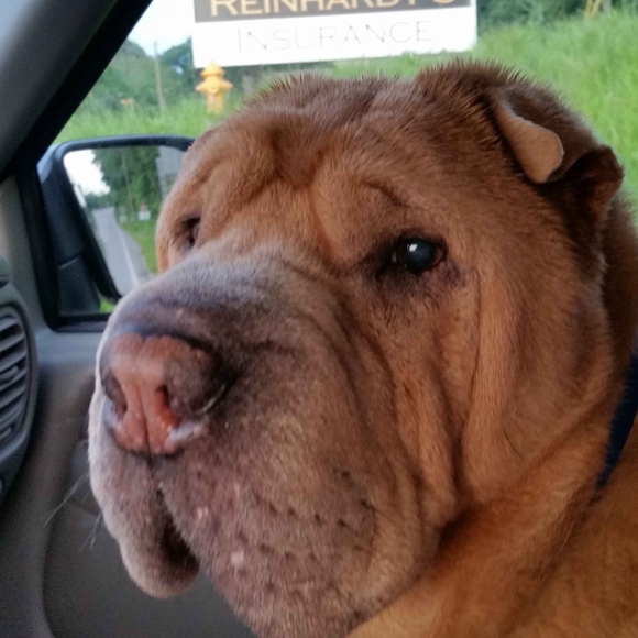 Meet your Posher, Kimberly - Picture 2 of 2